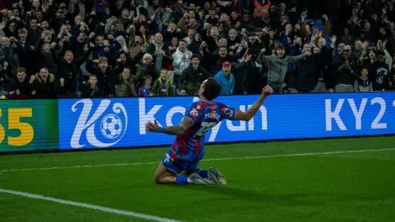 Daniel Munoz joined Crystal Palace in January last year

